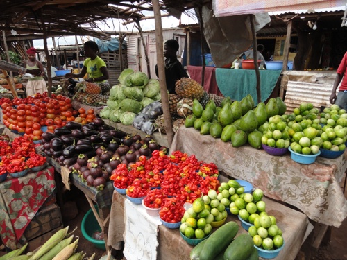 Education and farming